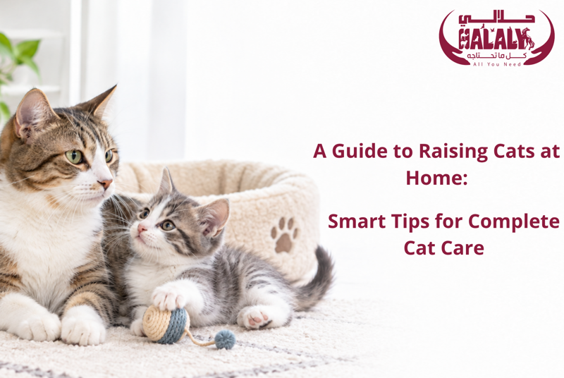 A Guide to Raising Cats at Home: Smart Tips for Complete Cat Care
